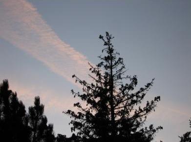 Wolkenbildung durch Kondensstreifen